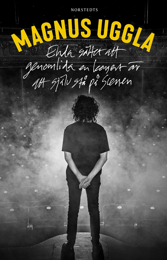 Enda sättet att genomlida en konsert är att själv stå på scenen (e-bok) av Magnus Uggla