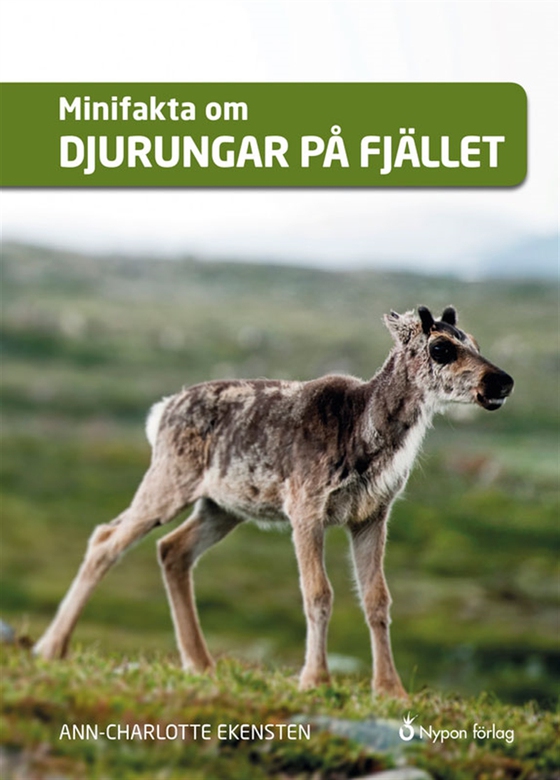 Minifakta om djurungar på fjället