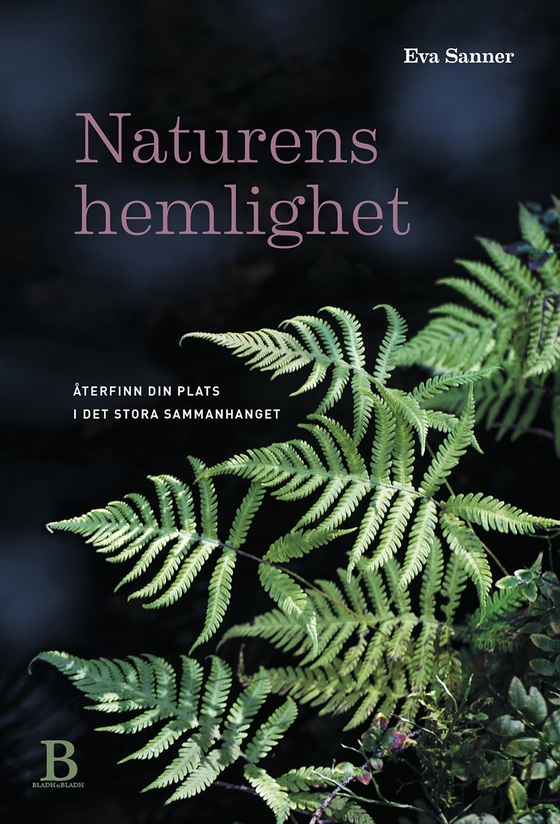 Naturens hemlighet – återfinn din plats i det stora sammanhanget