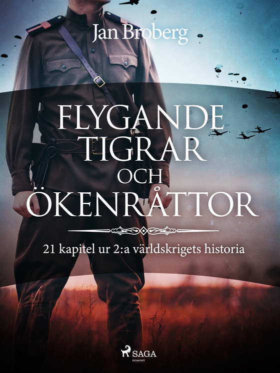 Flygande tigrar och ökenråttor : 21 kapitel ur 2:a världskrigets historia