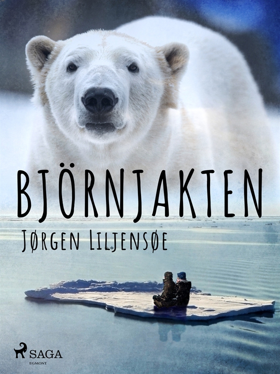 Björnjakten