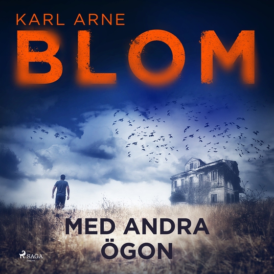 Med andra ögon (ljudbok) av Karl Arne Blom
