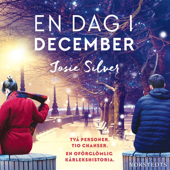 En dag i december (ljudbok) av Josie Silver