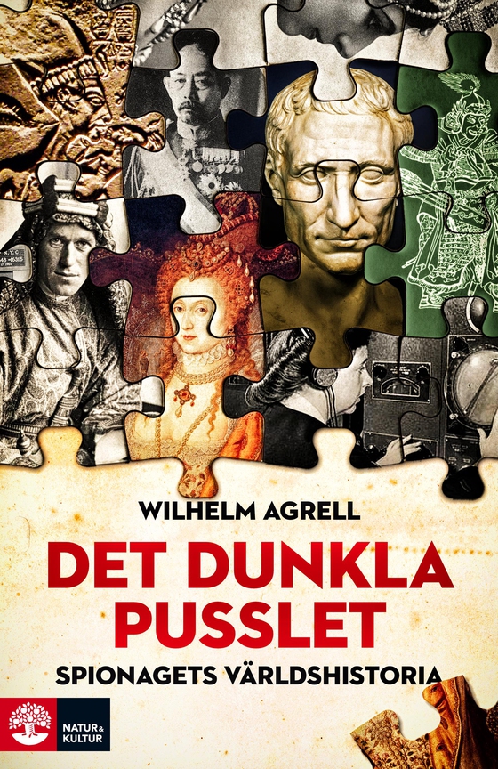 Det dunkla pusslet : Spionagets världshistoria