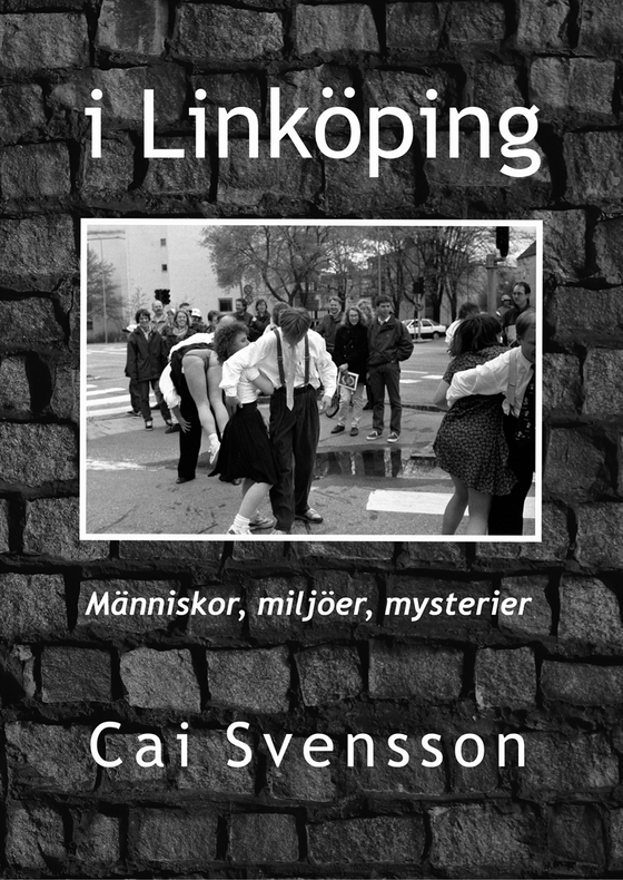 I Linköping: Människor, miljöer, mysterier