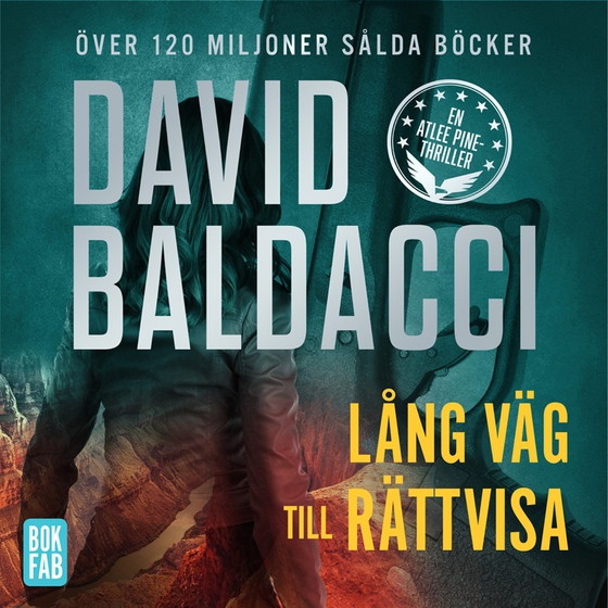 Lång väg till rättvisa (ljudbok) av David Baldacci