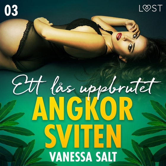 Angkorsviten 3: Ett lås uppbrutet