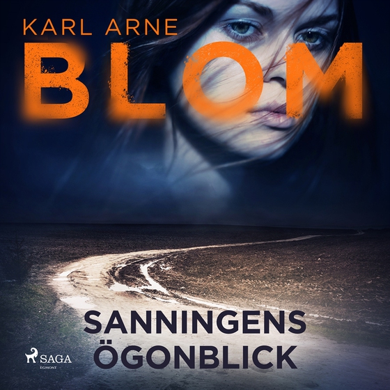 Sanningens ögonblick (ljudbok) av Karl Arne Blom