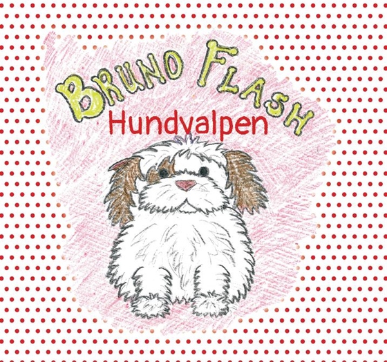 Bruno Flash Hundvalpen (e-bok) av Lisa Bengths