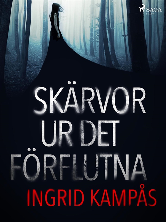 Skärvor ur det förflutna