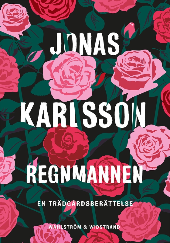 Regnmannen : en trädgårdsberättelse (e-bok) av Jonas Karlsson