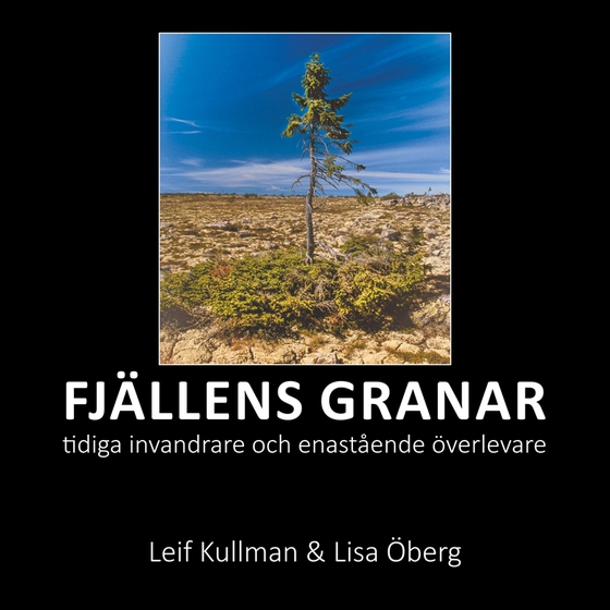Fjällens granar: tidiga invandrare och enastående överlevare