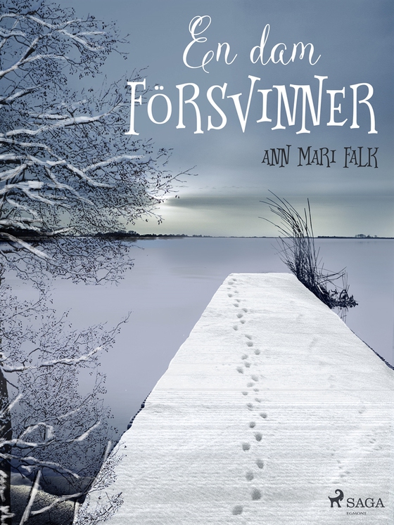 En dam försvinner (e-bok) av Ann Mari Falk