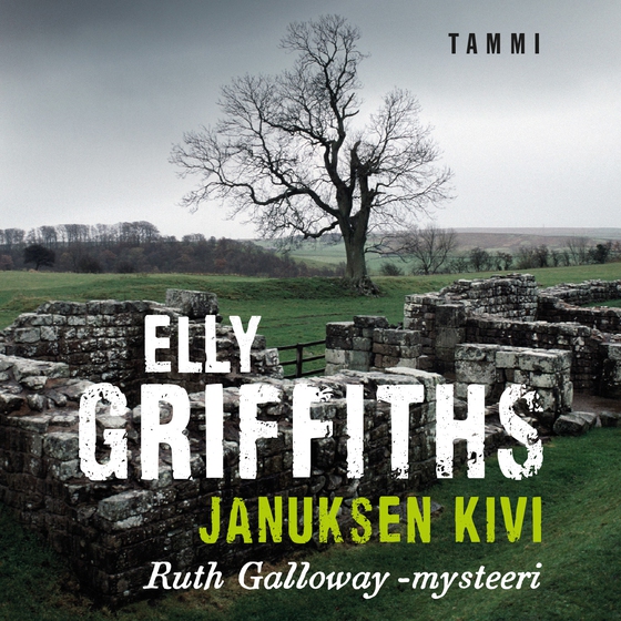 Januksen kivi