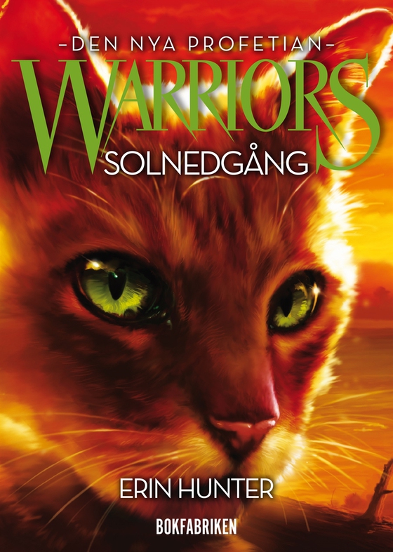 Warriors 2 - Solnedgång
