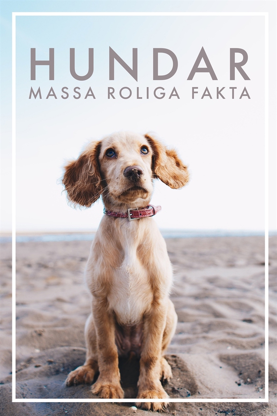 HUNDAR Massa roliga fakta (Epub2)
