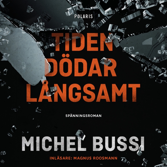 Tiden dödar långsamt (ljudbok) av Michel Bussi
