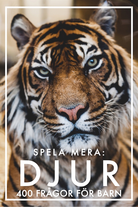 Frågesport: DJUR (PDF)