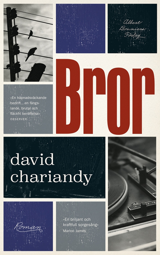 Bror  (e-bok) av David Chariandy