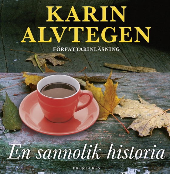 En sannolik historia (ljudbok) av Karin Alvtegen