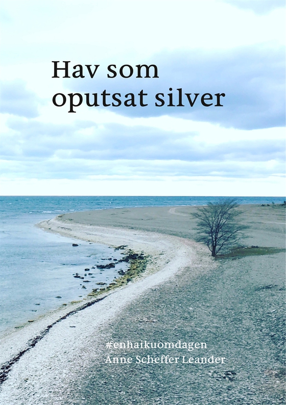 Hav som oputsat silver: #enhaikuomdagen