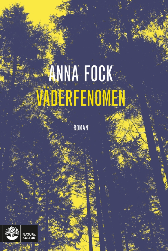 Väderfenomen (e-bok) av Anna Fock