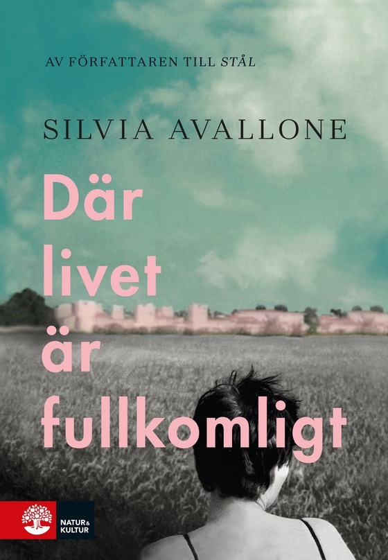 Där livet är fullkomligt (e-bok) av Silvia Avallone