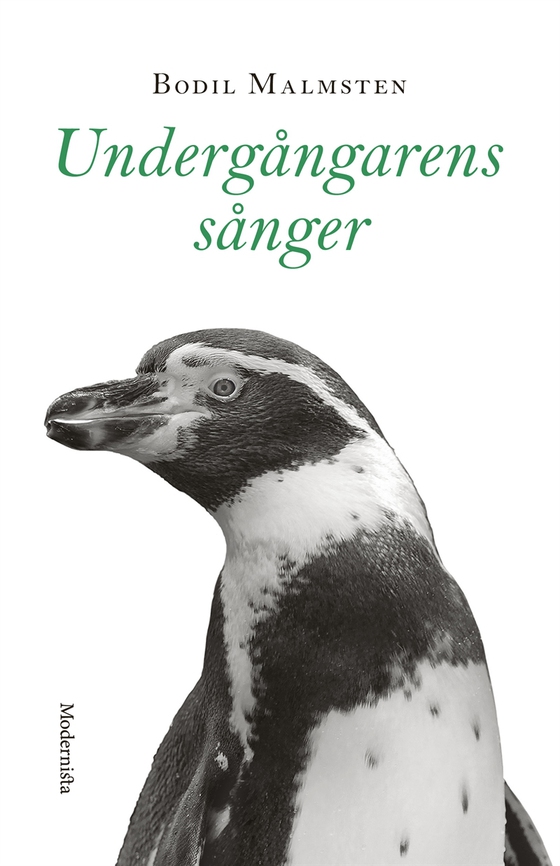 Undergångarens sånger (e-bok) av Bodil Malmsten