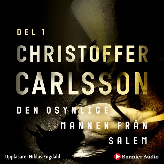 Den osynlige mannen från Salem (ljudbok) av Christoffer Carlsson