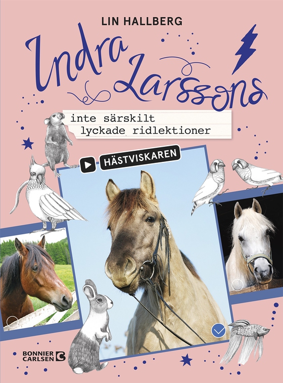 Indra Larssons inte särskilt lyckade ridlektioner (e-bok) av Lin Hallberg