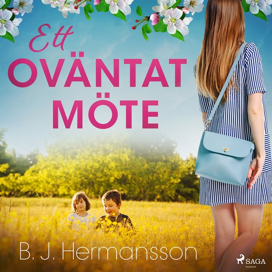 Ett oväntat möte (ljudbok) av B. J. Hermansson