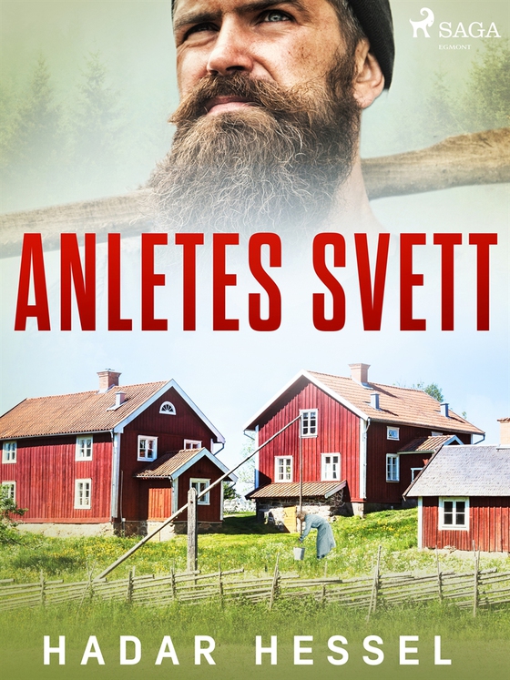 I anletes svett (e-bok) av Hadar Hessel