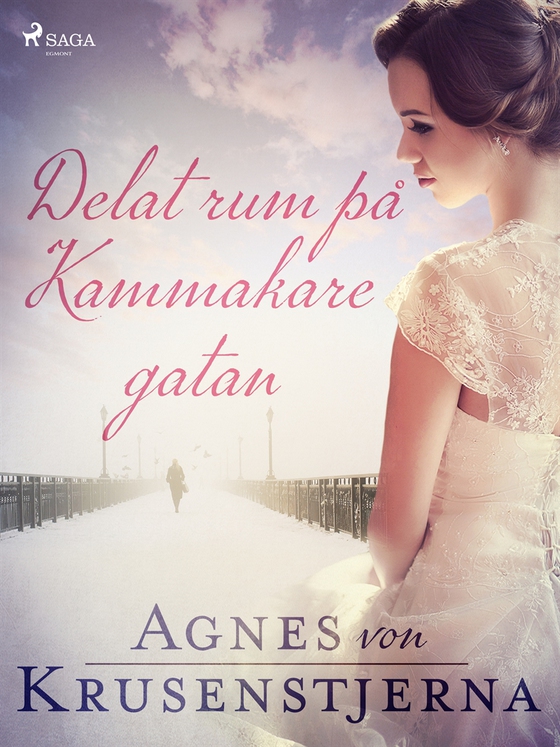 Delat rum på Kammakaregatan (e-bok) av Agnes von Krusenstjerna