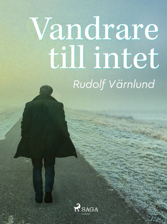 Vandrare till intet (e-bok) av Rudolf Värnlund