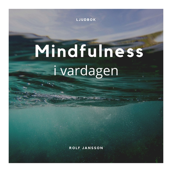 Mindfulness i vardagen (ljudbok) av Rolf Jansson