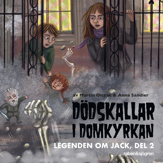 Dödskallar i domkyrkan (ljudbok) av Martin Olczak