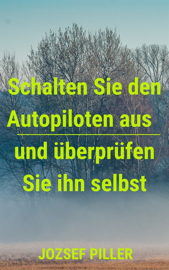 Schalten Sie den Autopiloten aus und überprüfen Sie ihn selbst