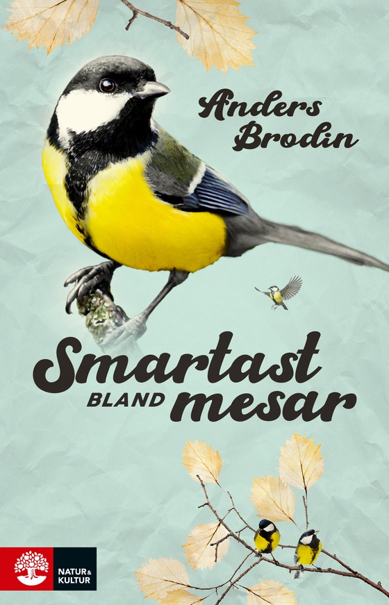 Smartast bland mesar (e-bok) av Anders Brodin