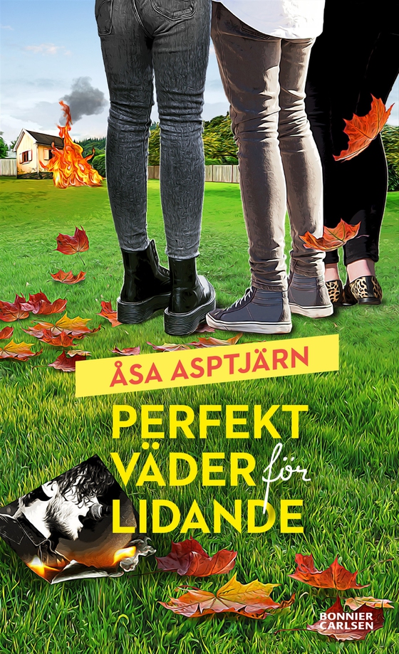 Perfekt väder för lidande (e-bok) av Åsa Asptjärn