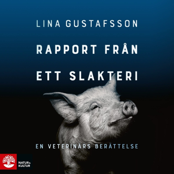 Rapport från ett slakteri : en veterinärs berättelse (ljudbok) av Lina Gustafsson