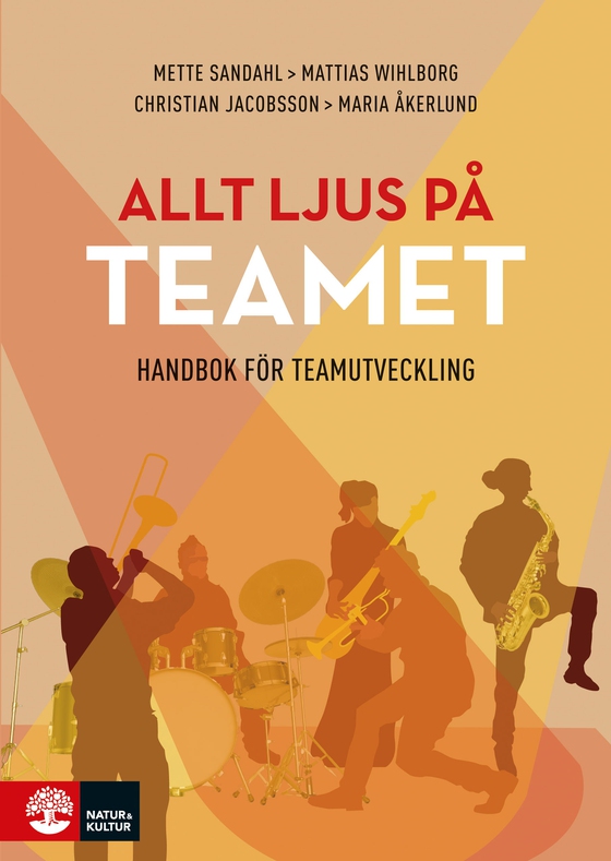 Allt ljus på teamet : en handbok för teamutveckling (e-bok) av Mette Sandahl