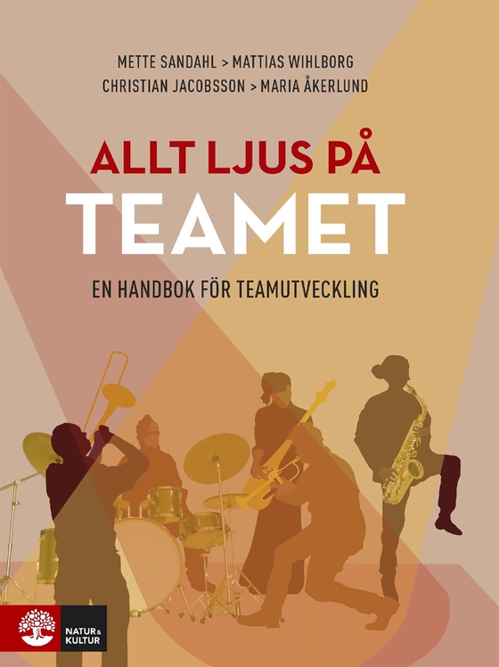 Allt ljus på teamet : En handbok för teamutveckling