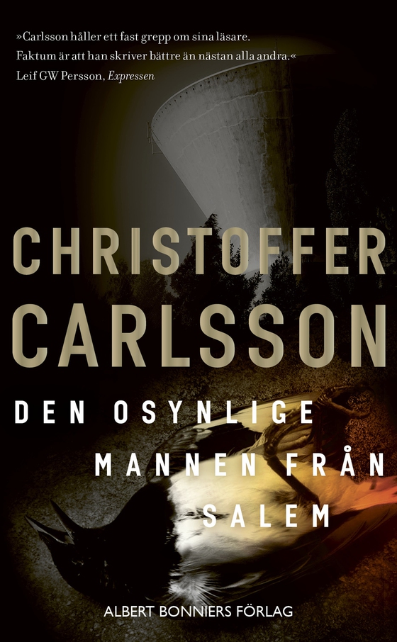 Den osynlige mannen från Salem (e-bok) av Christoffer Carlsson