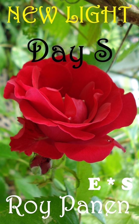 NEW LIGHT Day S (English / Swedish)