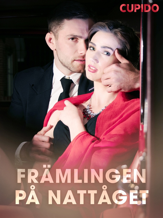 Främlingen på nattåget