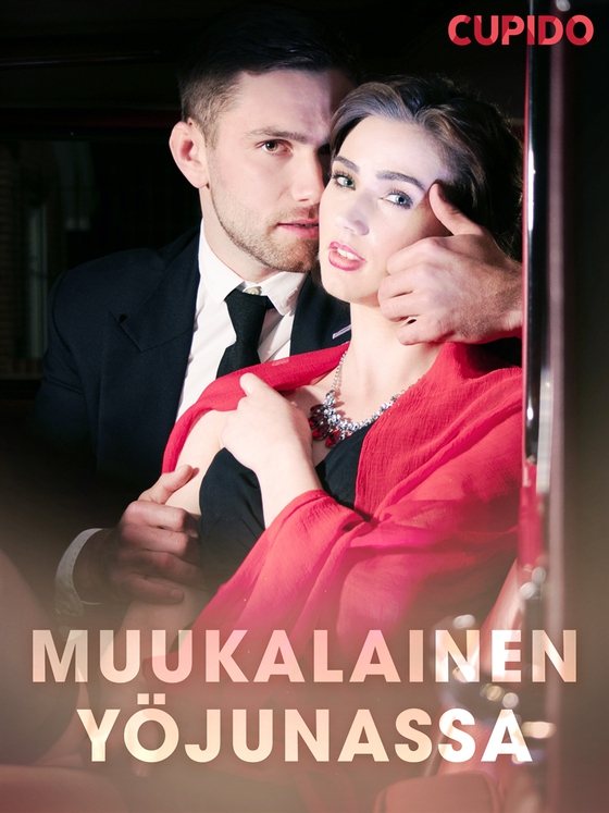 Muukalainen yöjunassa