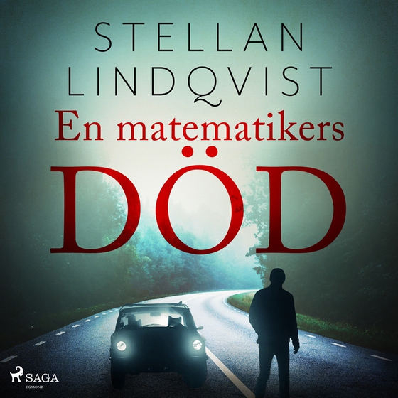 En matematikers död (ljudbok) av Stellan Lindqvist