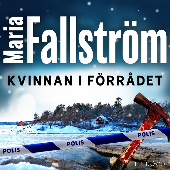 Kvinnan i förrådet