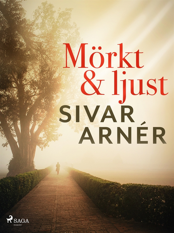 Mörkt och ljust (e-bok) av Sivar Arnér