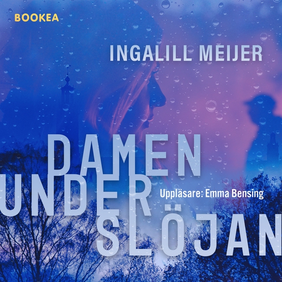 Damen under slöjan (ljudbok) av Ingalill Meijer